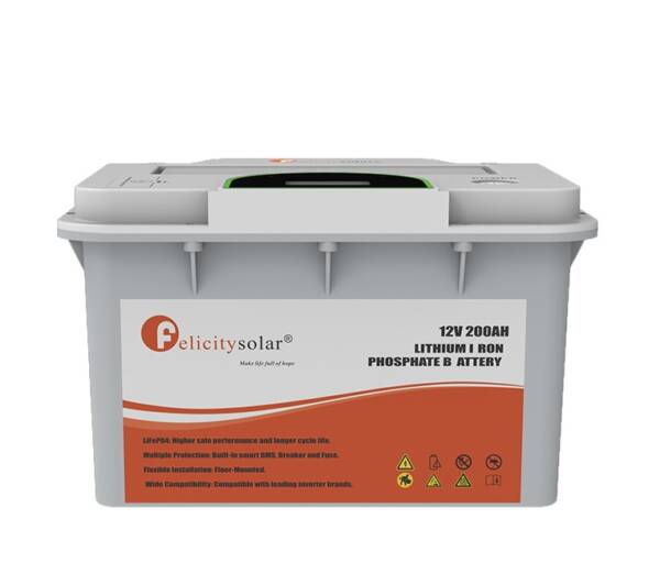 felicity-lithium-battery-2-5kwh-24v-100ah-fla-lebanon.jpg
