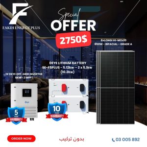 ✅ Inverter ✅ lithium battery ✅ PANELS